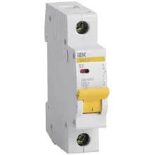 Автоматический выключатель IEK ВА47-29 1п 2А хар. B