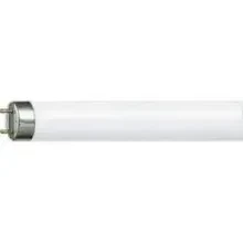 Лампа линейная люм. PHILIPS ЛЛ 36вт TLD 36/33-640 G13 белая 